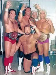 Quel est ce clan de catcheurs ?