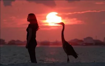 Rimez comme Jean de La Fontaine : Un jour sur ses deux pieds, allait, je ne sais o ...