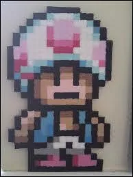 Houlaa, j'allais oublier... Quel est ce champignon ?