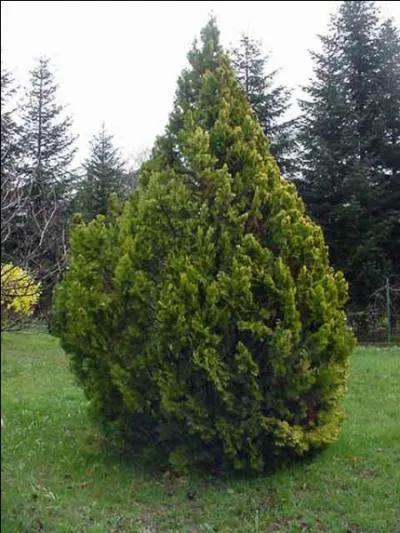 Vous voulez faire passer un message fort  votre meilleure amie, offrez lui :