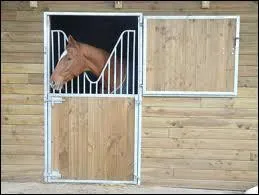 Ce cheval est dans :