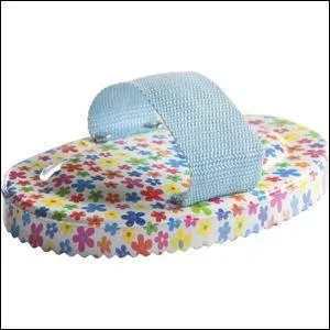 Comment se nomme cette brosse ?