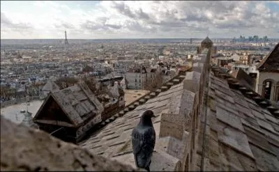 Le gazouillement des ... m'appelle; ils rclament les miettes que je sme pour eux chaque matin. J'ouvre ma fentre, et la perspective des toits m'apparat dans toute sa splendeur. Celui qui n'a habit que les premiers tages ne souponne point la varit pittoresque d'un pareil horizon.