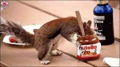 Le slogan de la pte  tartiner Nutella est :