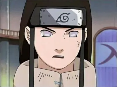 Neji fait partie de la branche parallle des Hyuga mais comment s'appelle-t-elle?