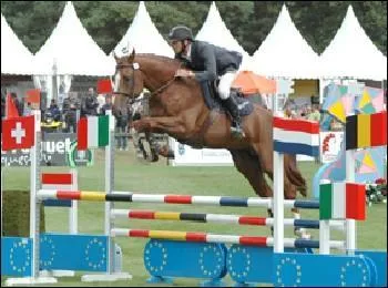 En concours de C. S. O, quel obstacle rencontrons-nous le plus souvent ?