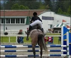 Quelle preuve n'existe pas en C. S. O. ?