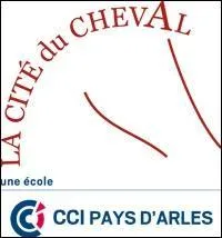 Que signifie C. C. I en quitation ?