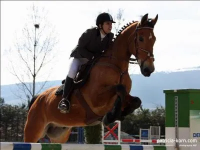 Quelles sont les phases du saut ?