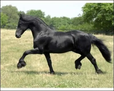 Qu'est-ce qui n'est pas une aide naturelle ?