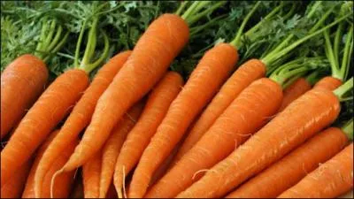 Comment dit-on  les carottes  en espagnol ?