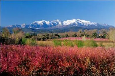 Le Canigou surplombe le Roussillon du haut de ses :