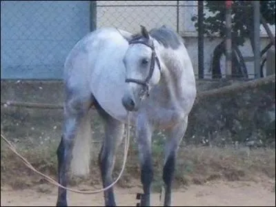 Enlever le filet se dit