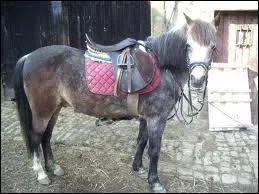 Pour desseller, tu dois d'abord dtacher :