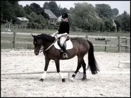 Pour monter  poney tu dois absolument :