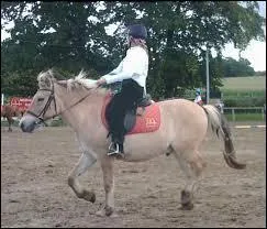 Pour faire avancer ton poney tu utilises