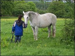 Quiz Galop 1