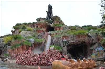 Dans quel parc Disney se trouve cette attraction ?