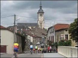 Je quitte la Corse et je me rends en Lorraine,  Thiaucourt-Regniville ( Meurthe-et-Moselle ). La ville est chef-lieu ...