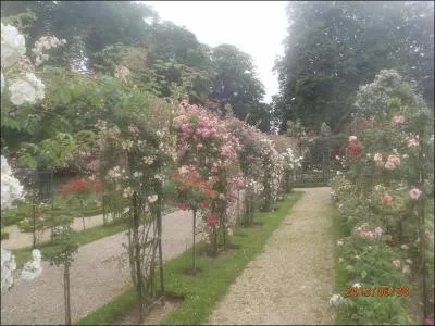Le film  Le Nom de la Rose , rvla un acteur de 17 ans, jusqu'alors inconnu !