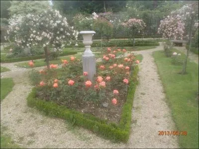 Une varit de rose  Portland  porte le nom d'un clbre navigateur !