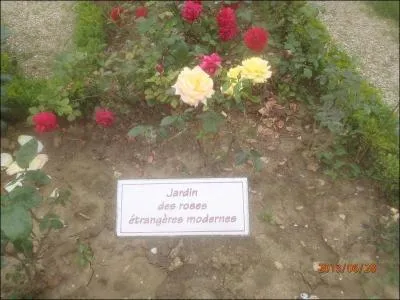 Quelle actrice ne fait pas partie de la distribution du film : Mais qui a tu Pamela Rose ?