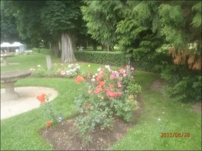 Combien pensez-vous qu'il existe d'espces de roses diffrentes dans le monde ?