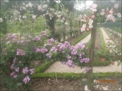 Qui a dit : L'amour est une rose, chaque ptale une illusion, chaque pine une ralit ?