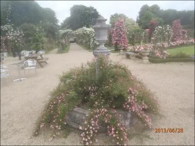 Chez l'homme et la femme, il existe une zone hautement rogne appele populairement  ptale de rose  !