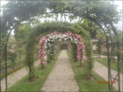 Qui a crit la premire partie de ce roman (crit en deux parties,  deux poques diffrentes),  Le roman de la rose  ?