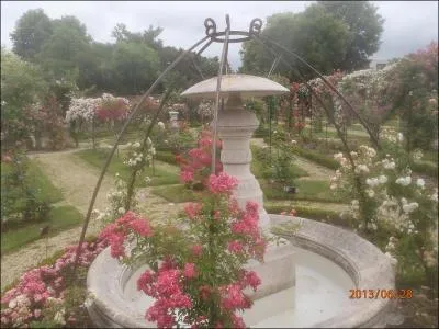 Qui a peint cette toile : Rose dans un verre de champagne ?