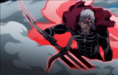 Dans quel manga est-il ?