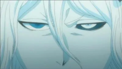 Dans quel manga est-il ?