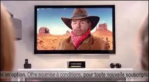 Pour qui Valrie Damidot a-t-elle fait la pub ?