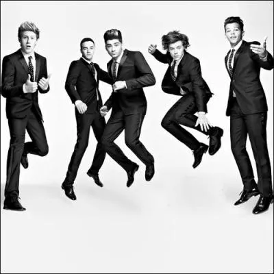 Sur quelle chanson Harry a-t-il auditionn ?