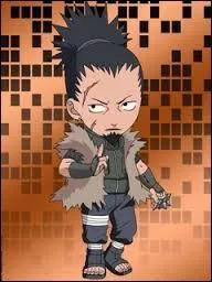 Je suis jnin de Konoha. J'appartiens au Clan Nara et je suis le pre de Shikamaru. Mon nom est :