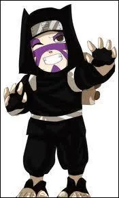 Je suis un marionnettiste du village cach du sable. Mon petit frre est le Kazekage et ma grande soeur matrise le Fton. Je m'appelle :