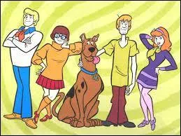 Combien de personnes sont dans l'quipe du mystre associ ?