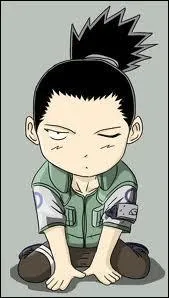 Je suis la personne la plus intelligente du village, mais aussi la plus flemmarde. Je suis de grade chnin et je faisais partie de l'quipe 8. Je me nomme :