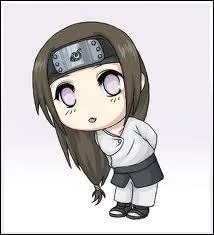 Je suis un Jnin de Konoha et un membre du Clan Hyga. Je suis de la branche parallle et je possde le Byakugan. Mon nom est :