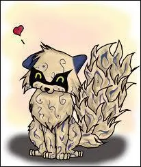 Mon dernier rceptacle fut Gaara. Ma nature de chakra est le Fton. Qui suis-je ?