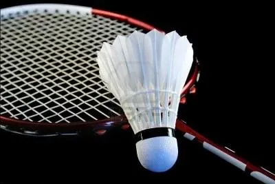 En quelle anne le badminton devint-il sport olympique ?