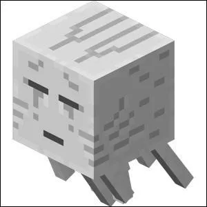 Quel est ce monstre vivant seulement dans le Nether ?