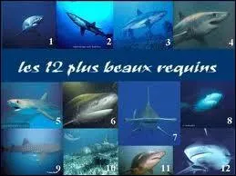Les requins sont prsents dans tous les ocans et toutes les mers du globe, mais combien y a-t-il d'espces environ ?