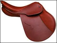 Quel est le nom de cette selle ?