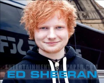 Combien de chanson(s), Ed Sheeran a-t-il crite(s) pour les One Direction ?
