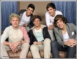 Est-ce que les 1D se sont dj disput avec les The Wanted ?