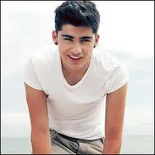 Quel est le film prfr de Zayn ?