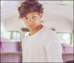 Louis a pris le nom de famille de son beau-pre : Mark Tomlinson. Mais, si les parents de Louis n'avaient pas divorc, comment s'appellerait-il ?