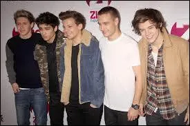 Lequel de ces titres n'est pas des One Direction ?